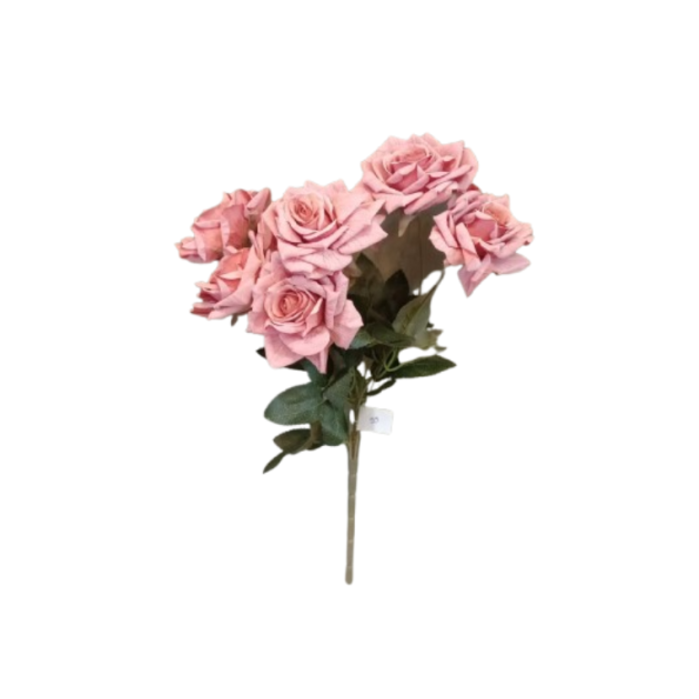 Rayonnement Floral